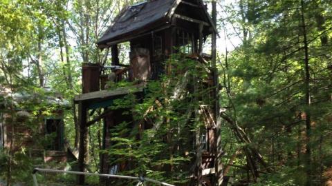 Before and After - 1970s v. 2010s - D5C50BA7-829C-4555-A647-2774760B6A90.jpeg