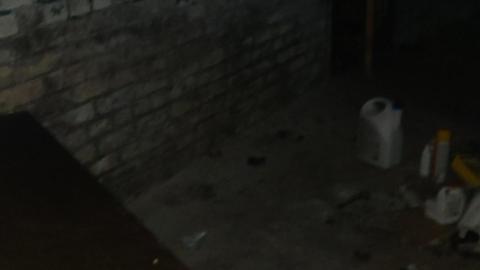 View from inside the garage