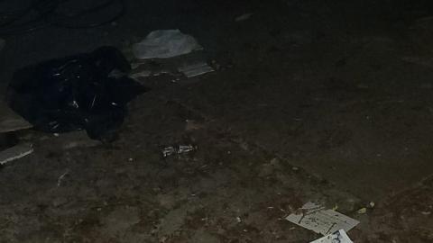 View from inside the garage