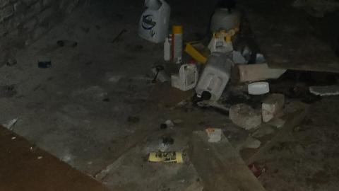 View from inside the garage