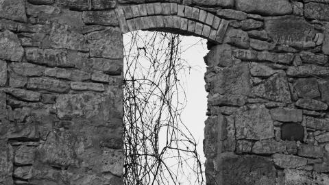 In Winter - _DSC6184.jpg