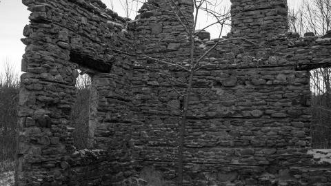 In Winter - _DSC6154.jpg