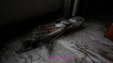 #MeterMen - IMG_3155.JPG