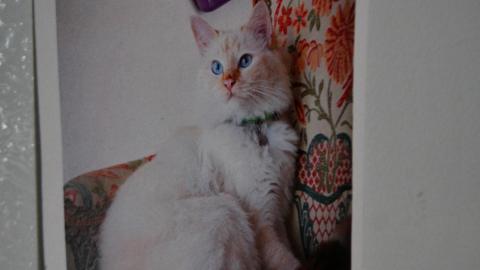 #MeterMen - IMG_3194.JPG