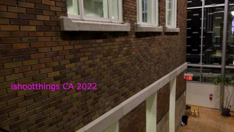 The Shell Within The Shell - IMG_3264.JPG