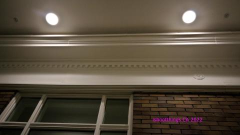 The Shell Within The Shell - IMG_3275.JPG