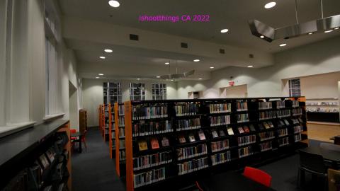 The Shell Within The Shell - IMG_3278.JPG