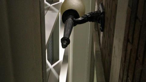 The Shell Within The Shell - IMG_3282.JPG