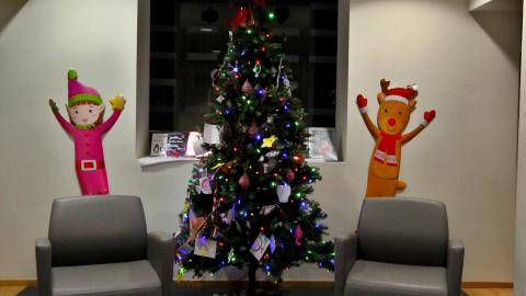 The Shell Within The Shell - IMG_3294.JPG