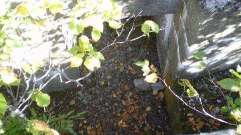 Gallery - Long-Lake-Gold-Mine6.jpg