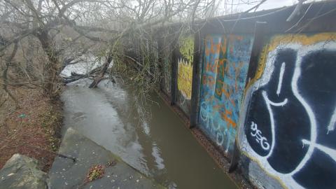 Don Valley Graff Bridge - 20221130_143940_HDR.jpg