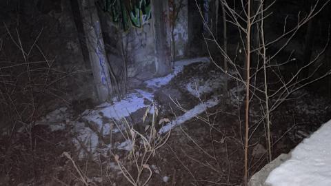 Night Visit - December 18, 2022 - IMG_2843.jpg