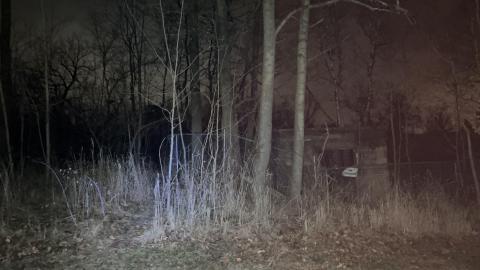 Ruins can be seen in the distance
