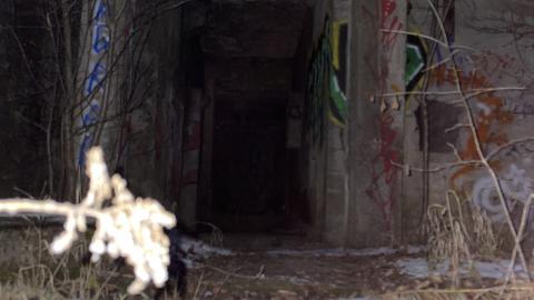 Night Visit - December 18, 2022 - IMG_2821.jpg