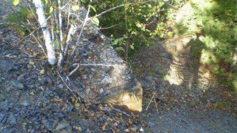 Long Lake Gold Mine - Sudbury, Unorganized, North Part, Ontario