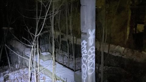 Night Visit - December 18, 2022 - IMG_2841.jpg