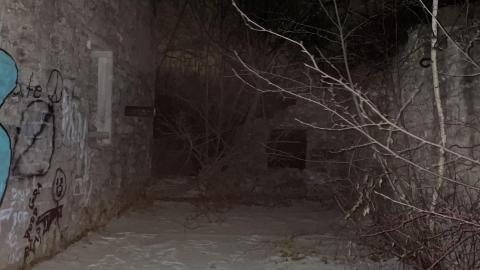 Night Visit - December 18, 2022 - IMG_2849.jpg