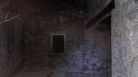 Night Visit - December 18, 2022 - IMG_2848.jpg