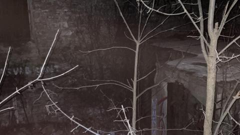 Night Visit - December 18, 2022 - IMG_2853.jpg