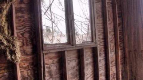 Photo from What a Dump (Sorry)