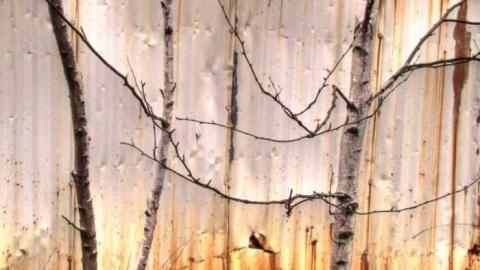 March 2012 - 944-Brant42.jpg