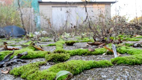 Discovery Visit, November 2022 - Sunset Grill - 016.jpg