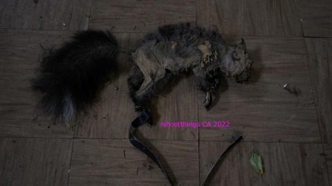 Round 3 - NYE 2022 - IMG_3531.JPG