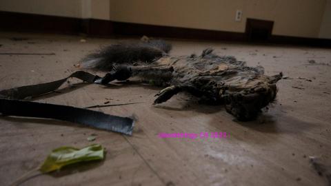 Round 3 - NYE 2022 - IMG_3532.JPG