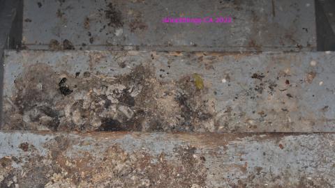 Round 3 - NYE 2022 - IMG_3552.JPG