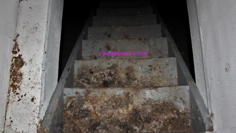 Round 3 - NYE 2022 - IMG_3553.JPG