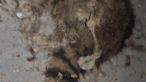 Round 3 - NYE 2022 - IMG_3555.JPG