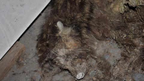 Round 3 - NYE 2022 - IMG_3557.JPG