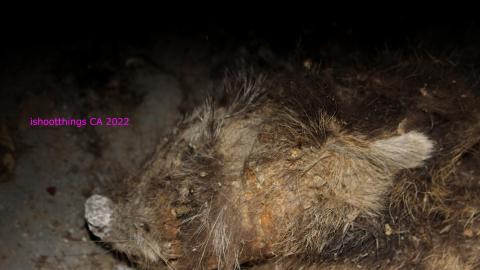 Round 3 - NYE 2022 - IMG_3558.JPG