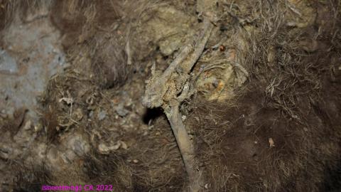 Round 3 - NYE 2022 - IMG_3559.JPG