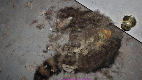 Round 3 - NYE 2022 - IMG_3560.JPG