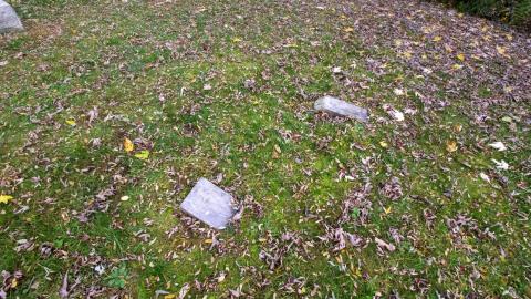 11/22 - Disrepair - IMG_3313.JPG