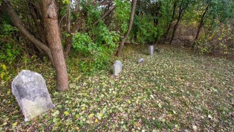 11/22 - Disrepair - IMG_3315.JPG