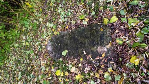 11/22 - Disrepair - IMG_3316.JPG