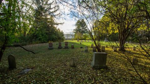 11/22 - Disrepair - IMG_3317.JPG