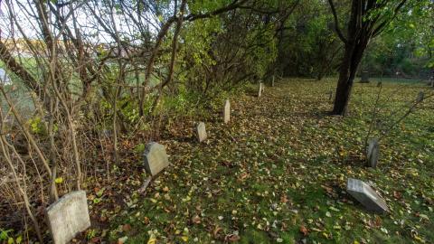 11/22 - Disrepair - IMG_3318.JPG