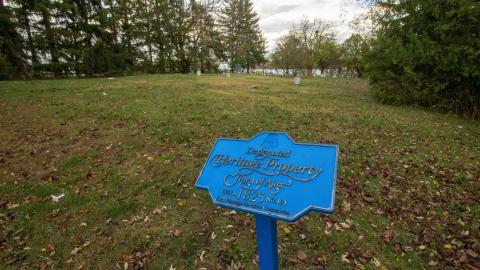 11/22 - Disrepair - IMG_3320.JPG