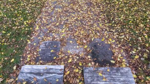 11/22 - Disrepair - IMG_3323.JPG