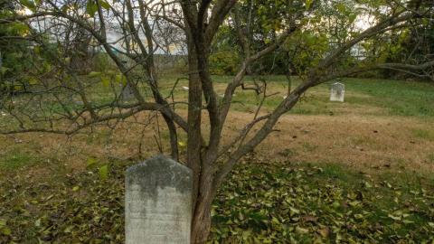 11/22 - Disrepair - IMG_3324.JPG