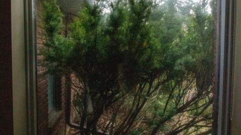 Photo from January 2023