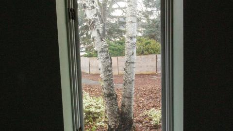 January 2023 - IMG_3549.JPG