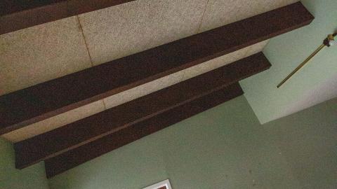 January 2023 - IMG_3552.JPG