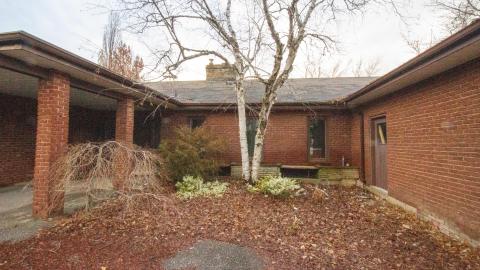 January 2023 - IMG_3556.JPG