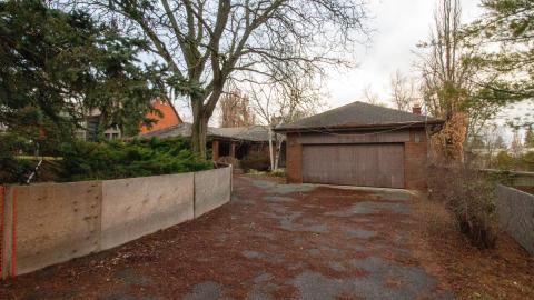 January 2023 - IMG_3557.JPG