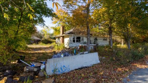 October 2022 - IMG_3195.JPG