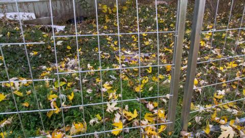 November 2022 - IMG_3331.JPG